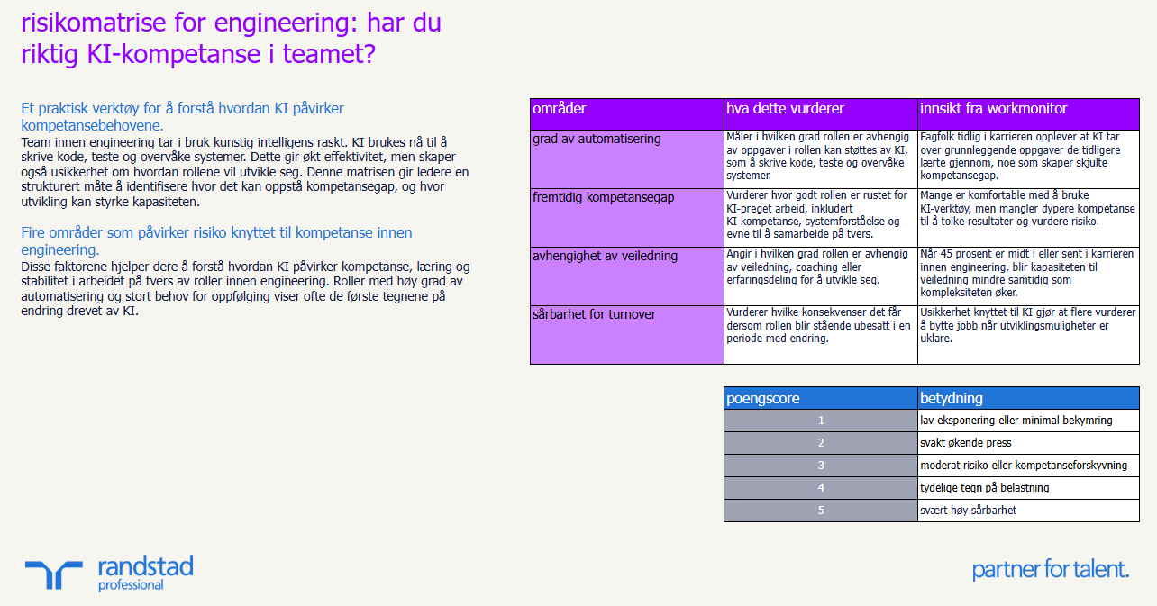 randstad-1-risikomatrise-for-engineering-har-du-riktig-KI-kompetanse-i-teamet